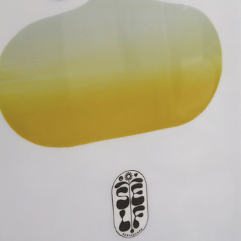 Skate Deck