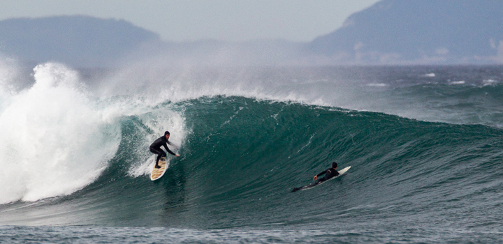 Self Surfboards Models